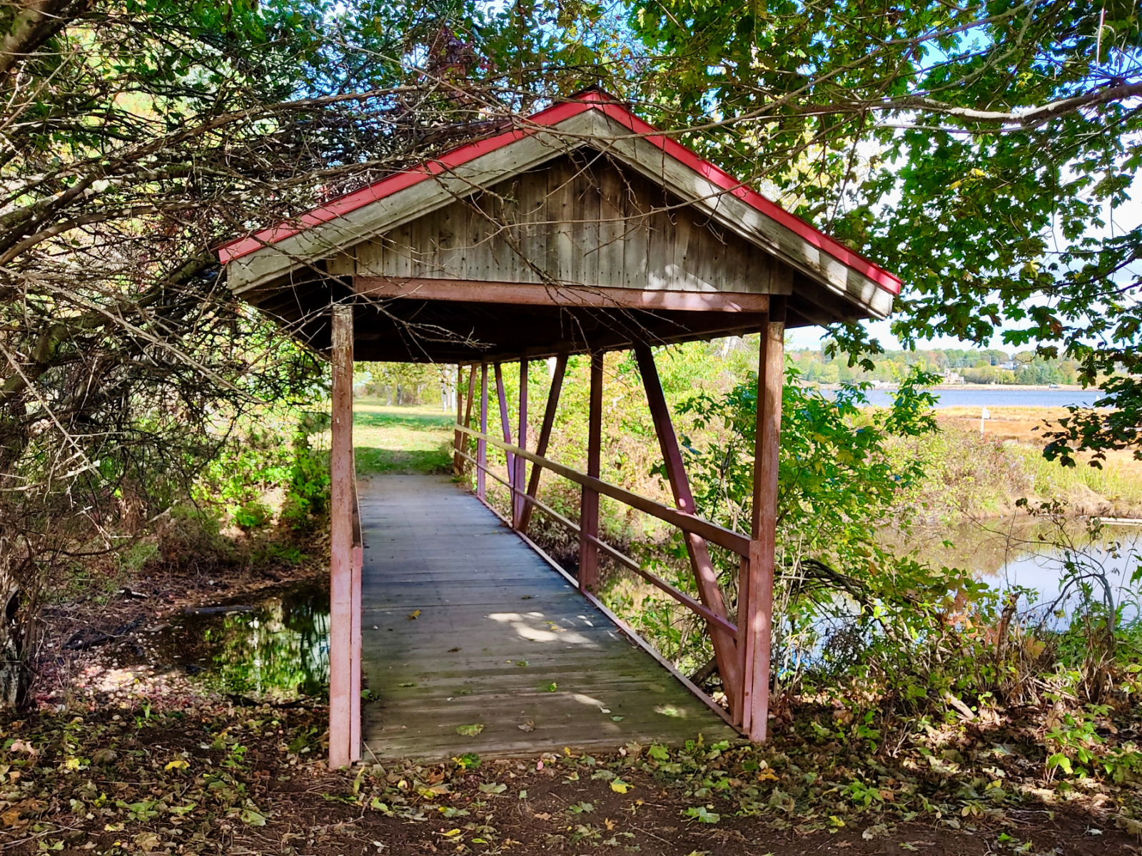 Le parc Rotary de Bouctouche va se refaire une beauté Image 1