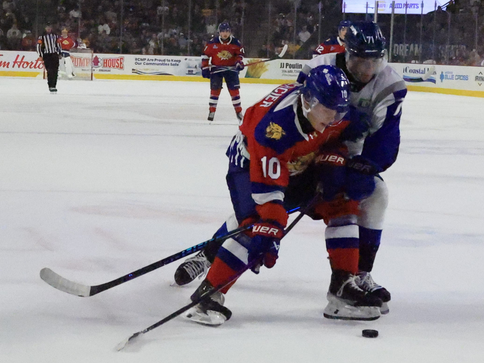 Victoires des Wildcats après deux revers Image 1