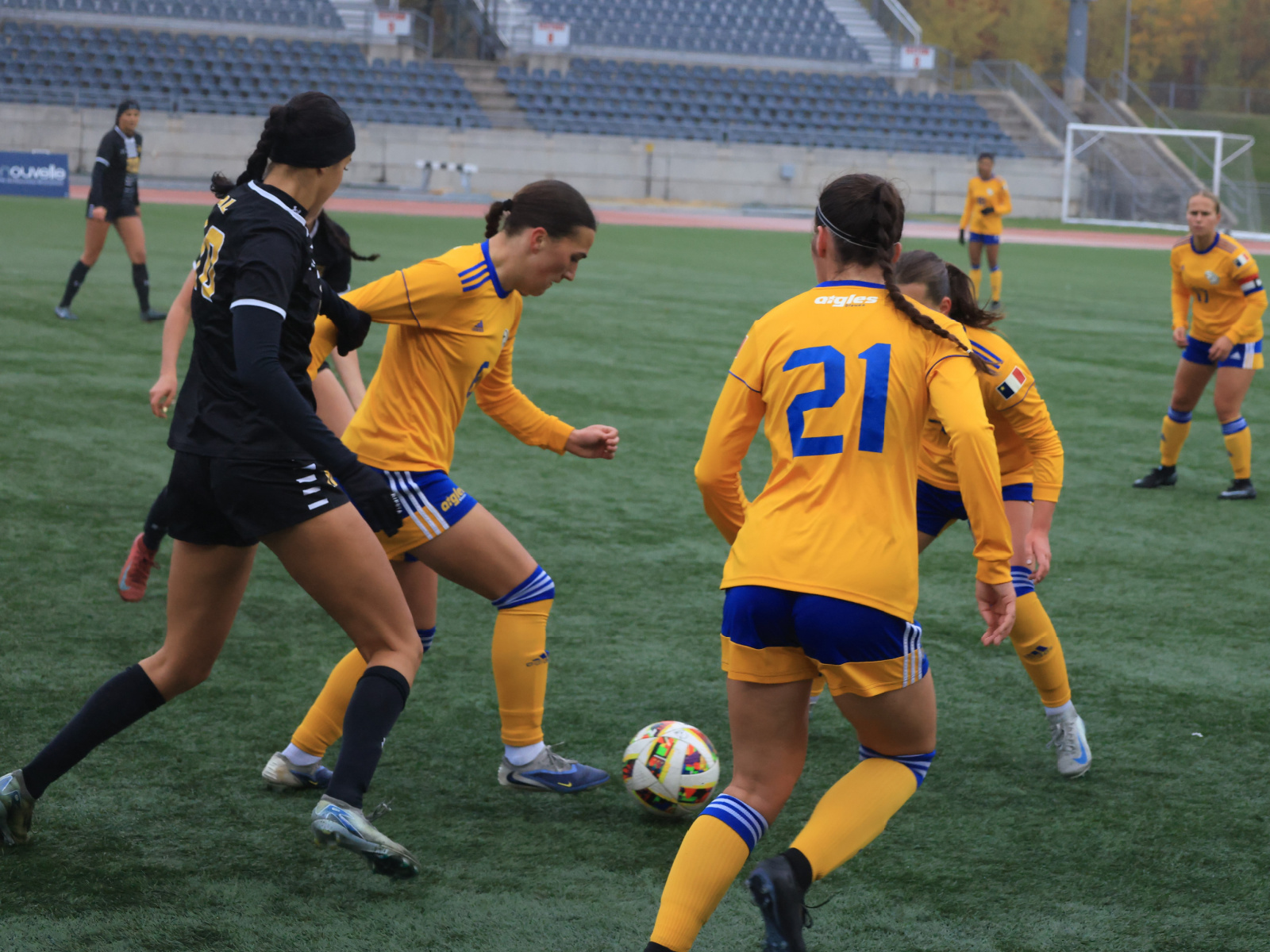 Les Aigles Bleues terminent leur saison sur un nul contre ... Image 1