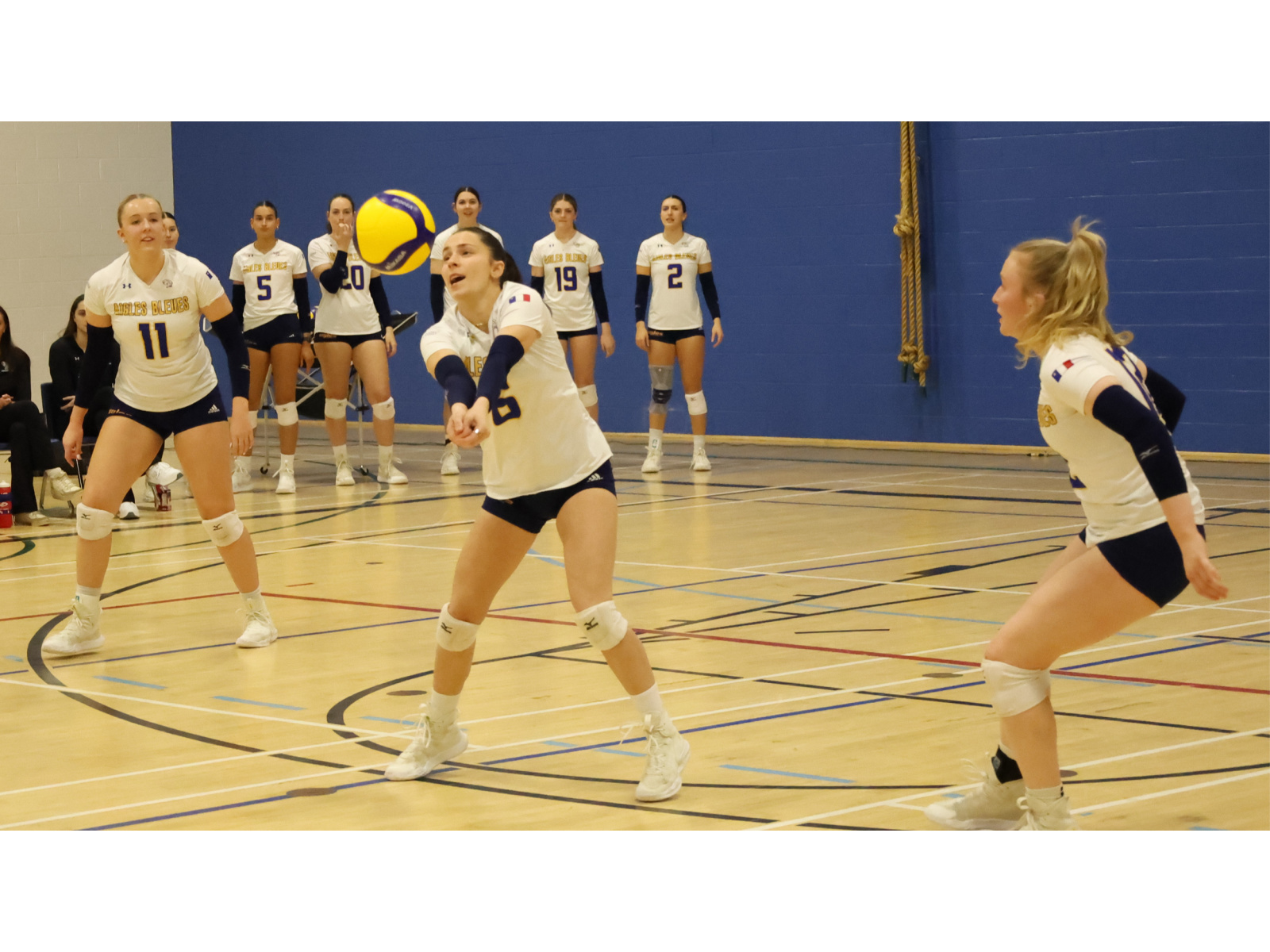 Volleyball : Début de la saison des Aigles Bleues samedi à ... Image 1
