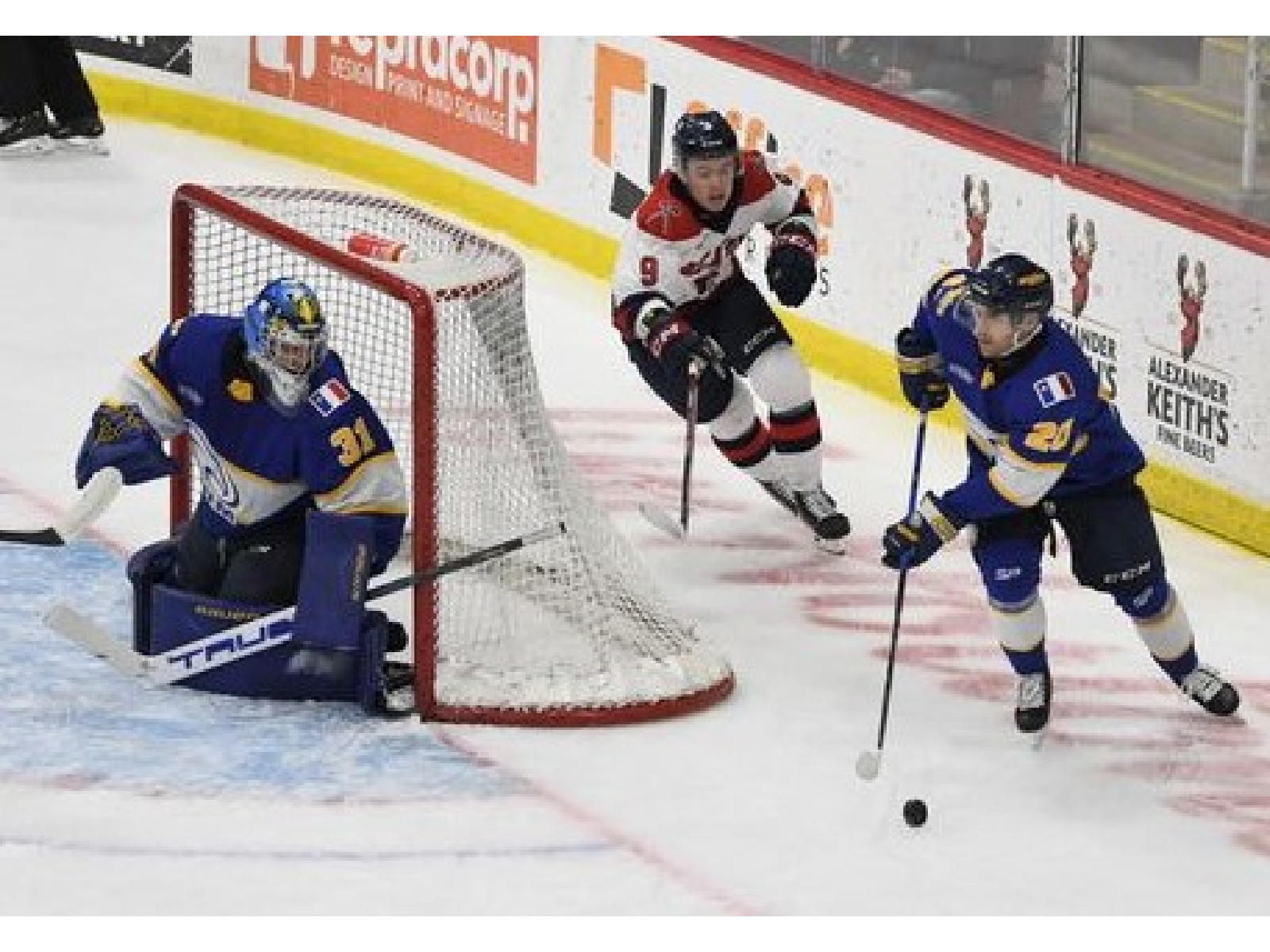 Jeremy Lapointe donne la victoire aux Aigles Bleus Image 1