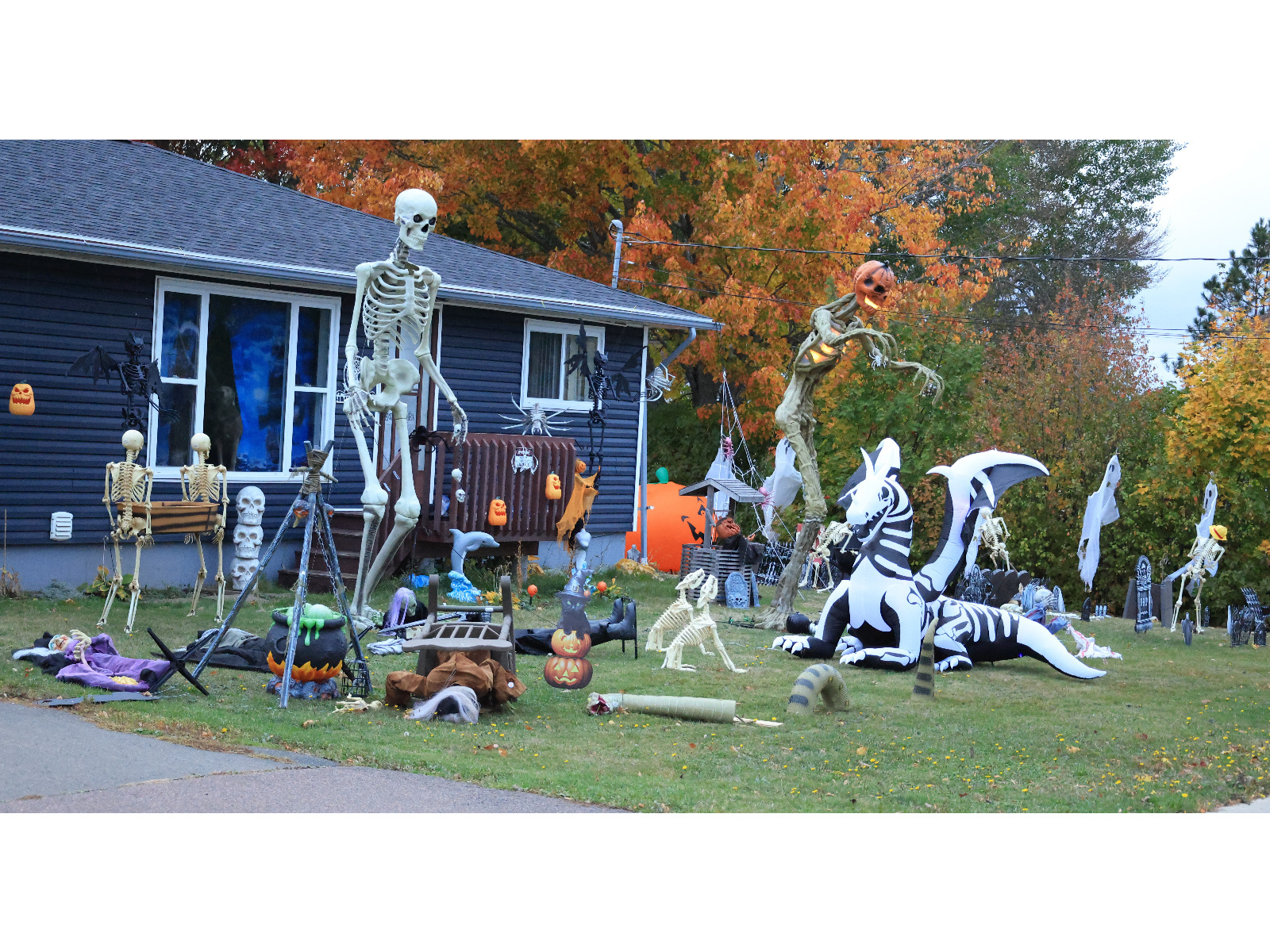 Halloween vendredi dans la région Image 1