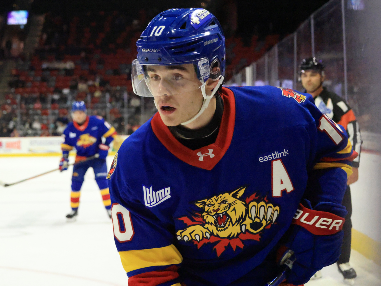 Les Wildcats de retour au Centre Avenir pour deux rencontres Image 1