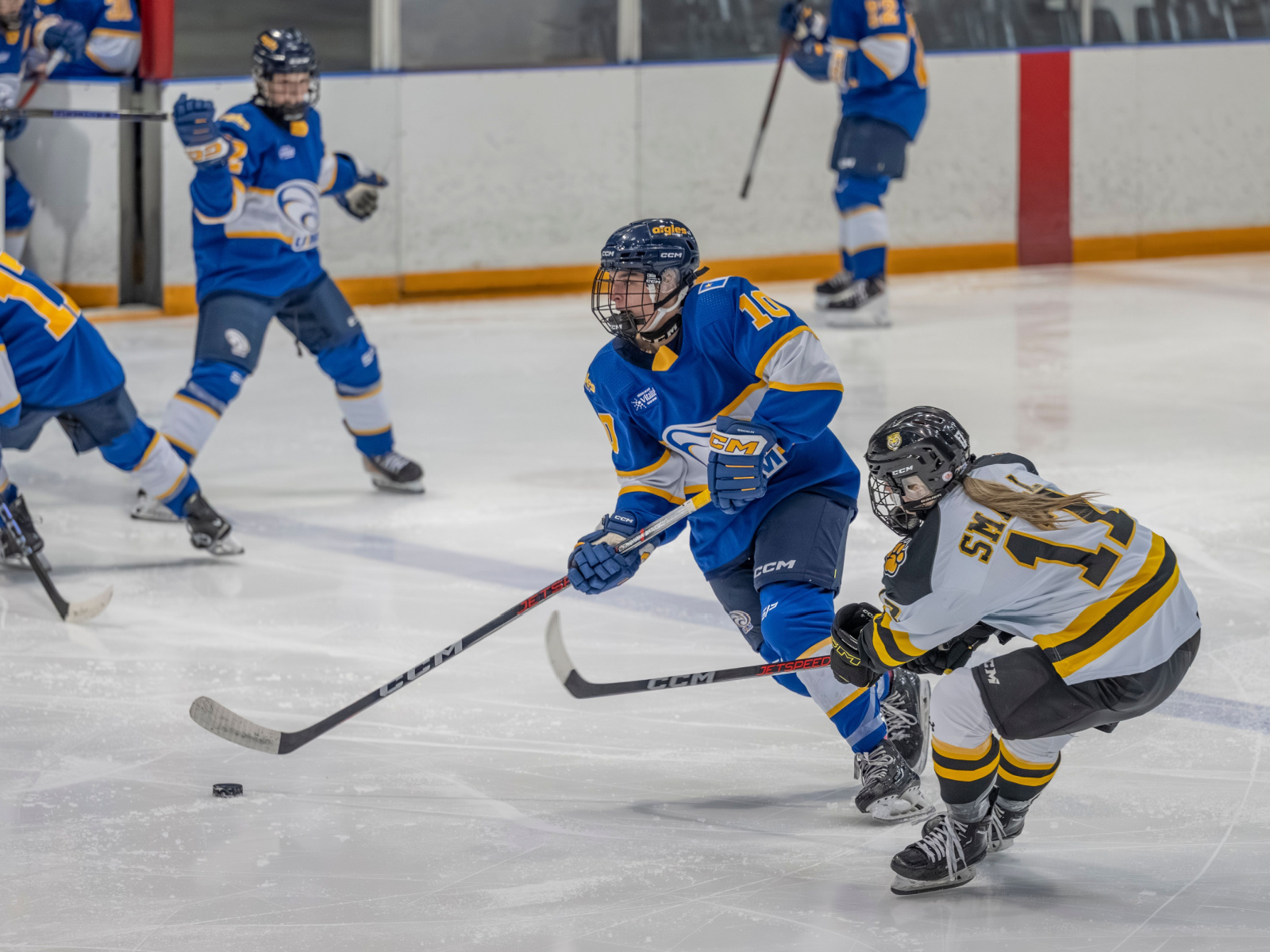 Les Aigles Bleues flanchent devant les Tigers après avoir ... Image 1