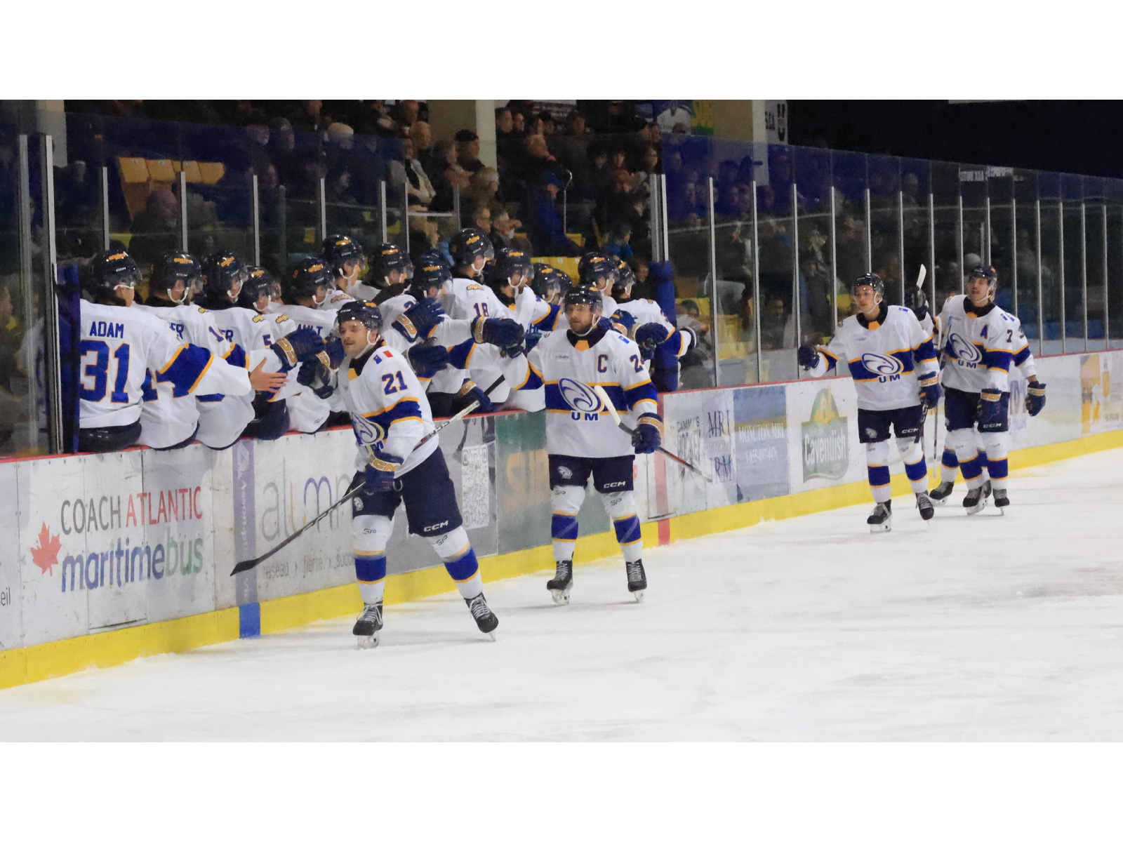 Les Aigles Bleus doivent beaucoup à Jérémie Jacob Image 1