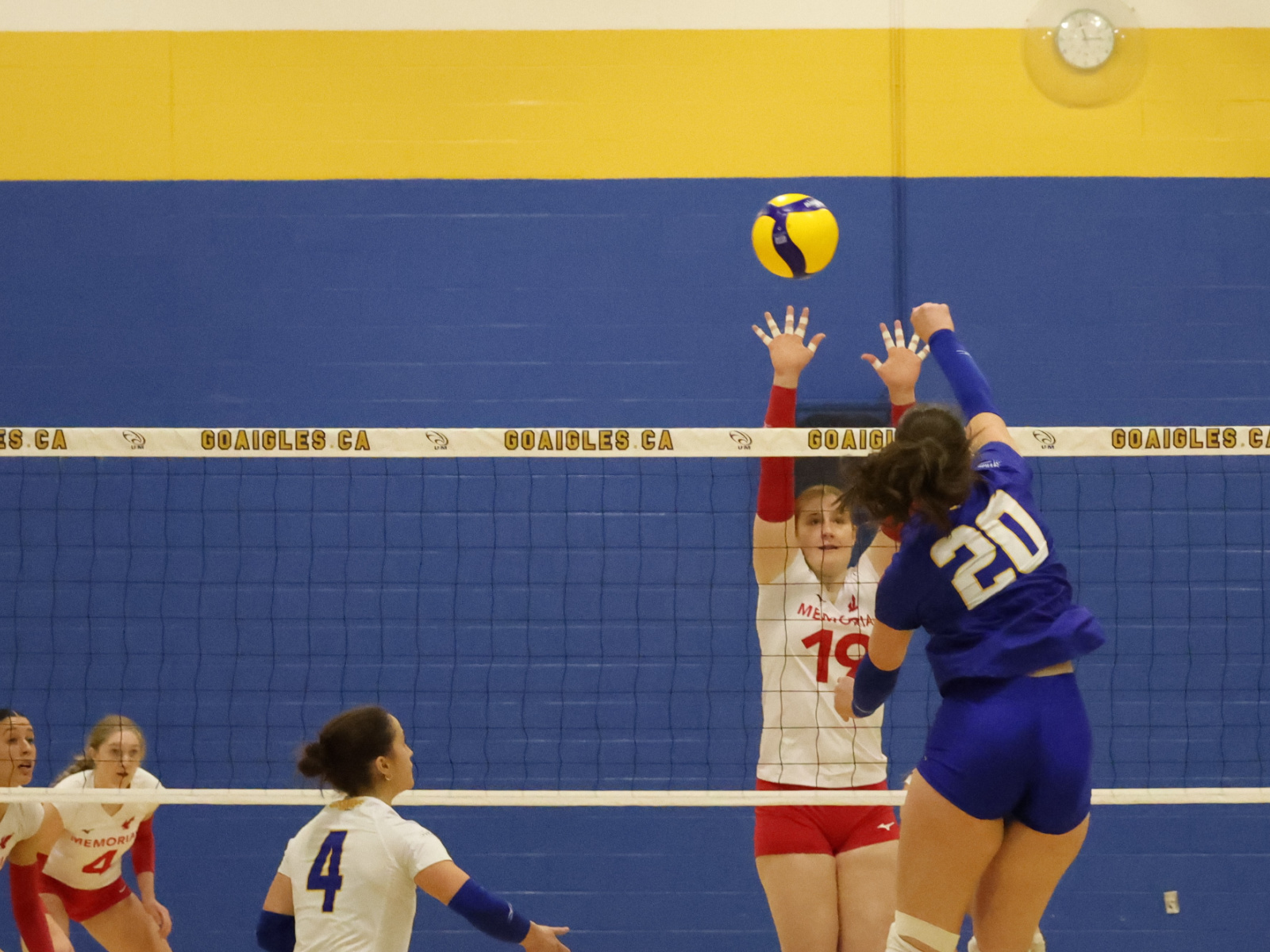 Les Sea-Hawks balaient la série face aux Aigles Bleues Image 1
