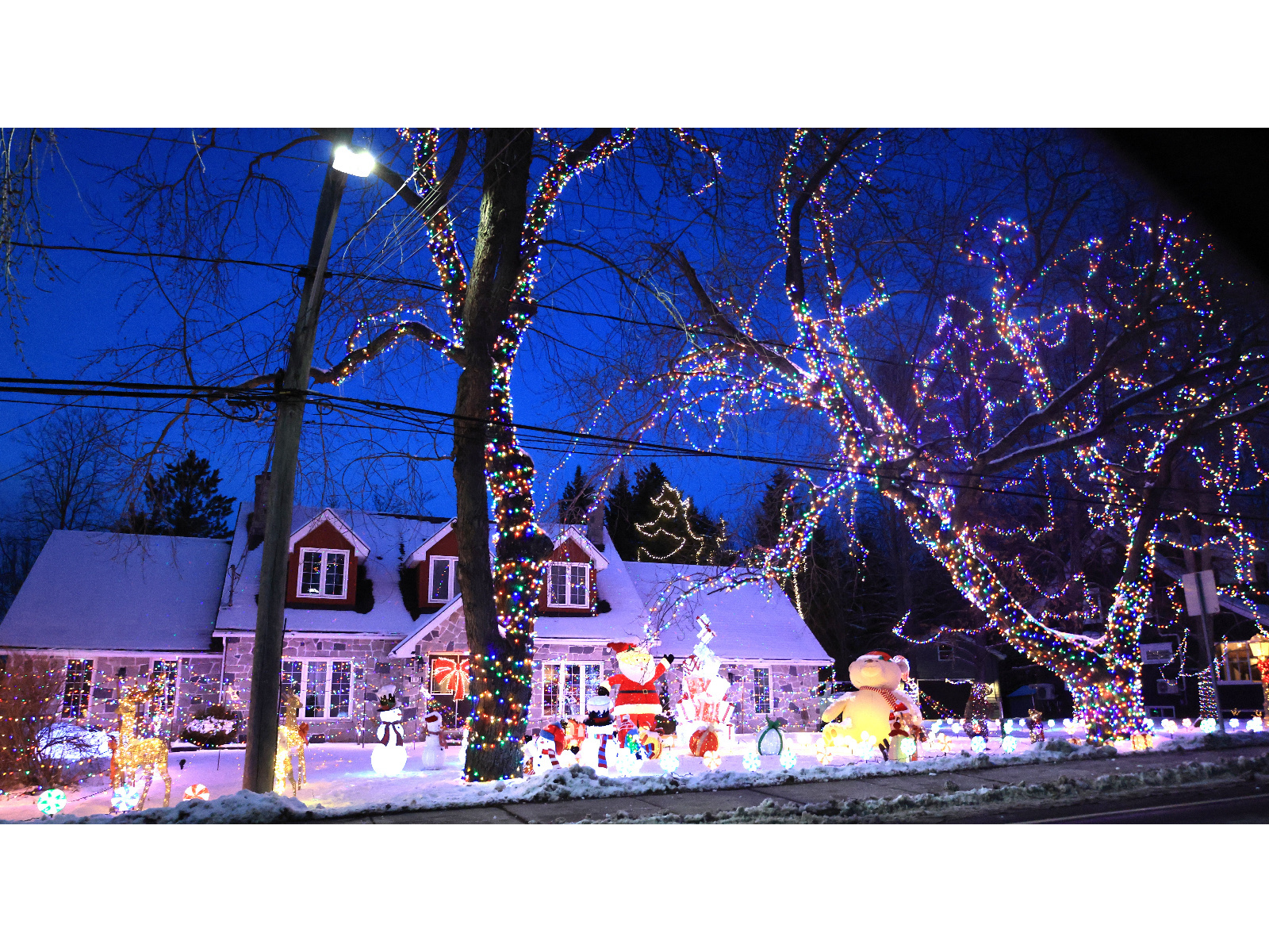 LES LUMIÈRES DE NOËL ATTIRENT LES GENS Image 1