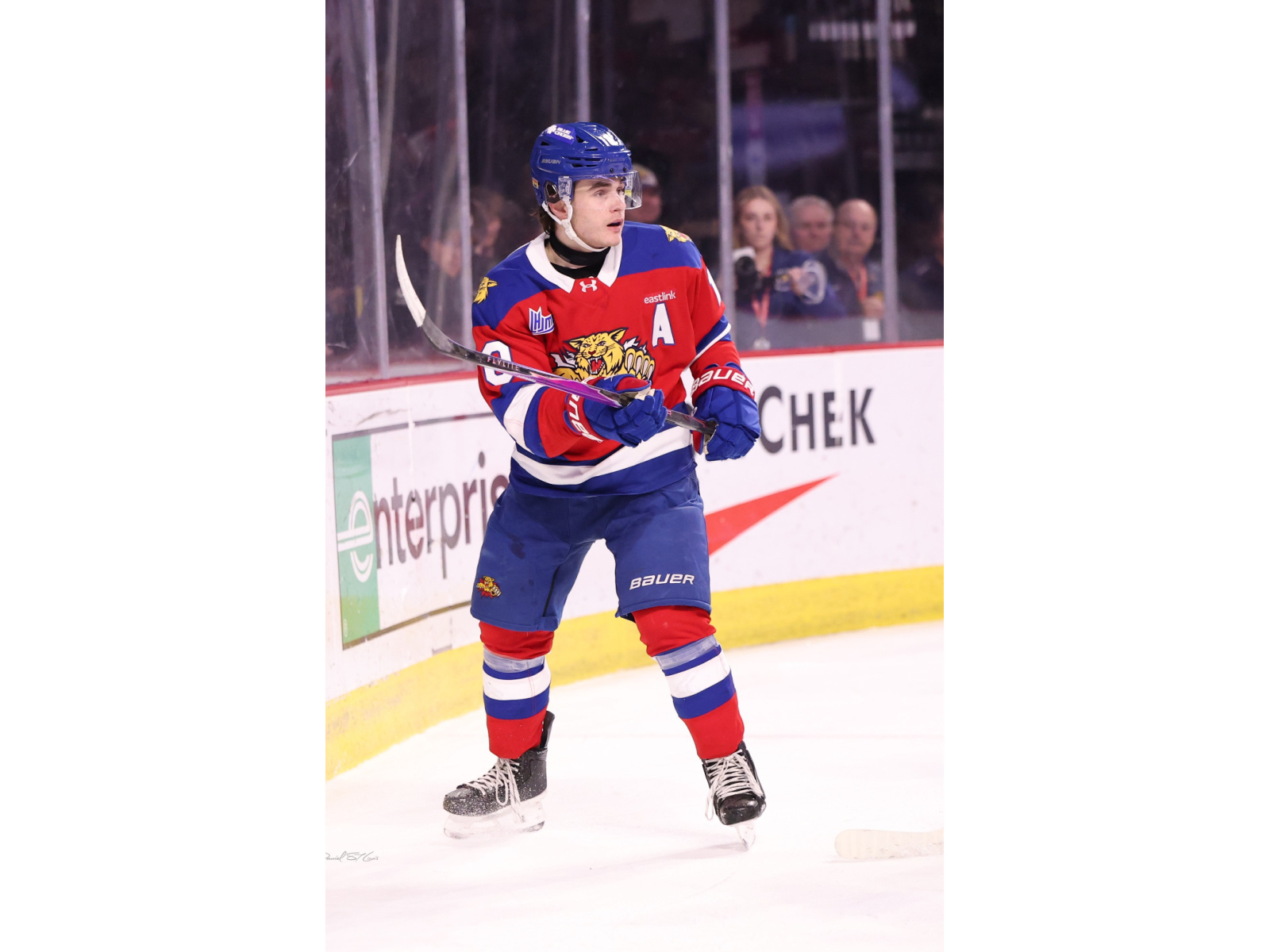 Les Wildcats disputent deux parties cette semaine Image 1