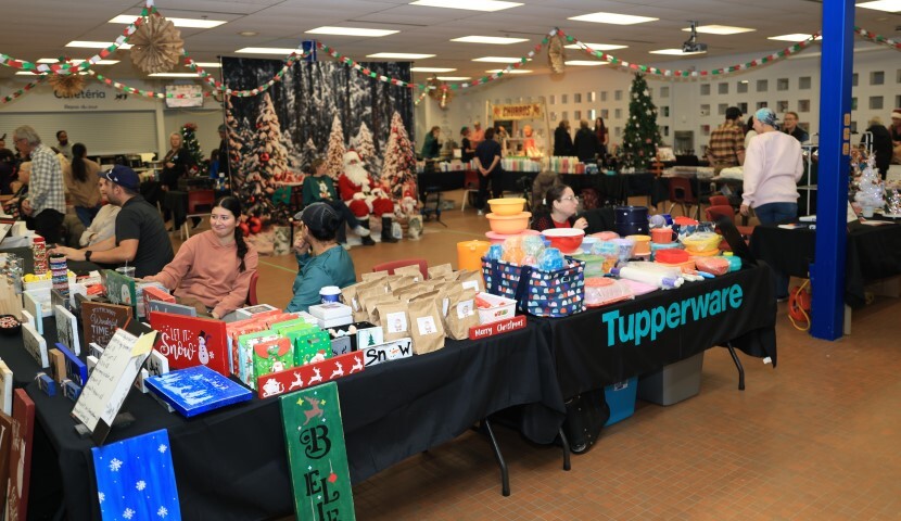 marché hivernal MFR 2 Small