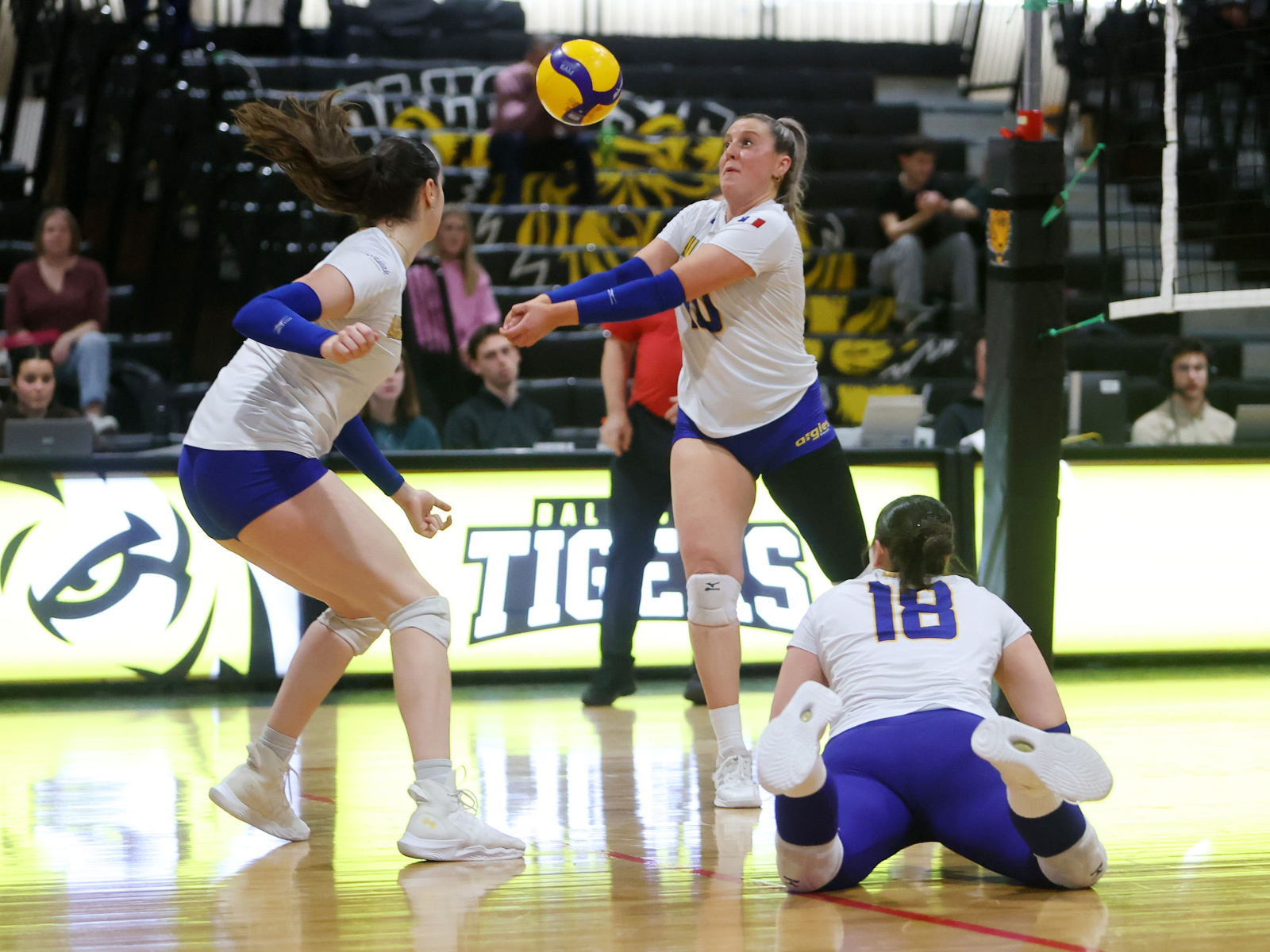 Volleyball : les Aigles Bleues écartées des séries Image 1