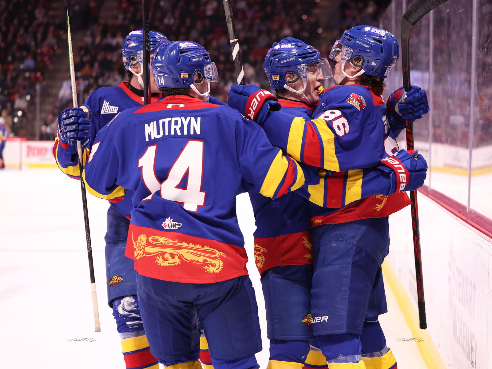 Les Wildcats doublent les Sea Dogs Image 1