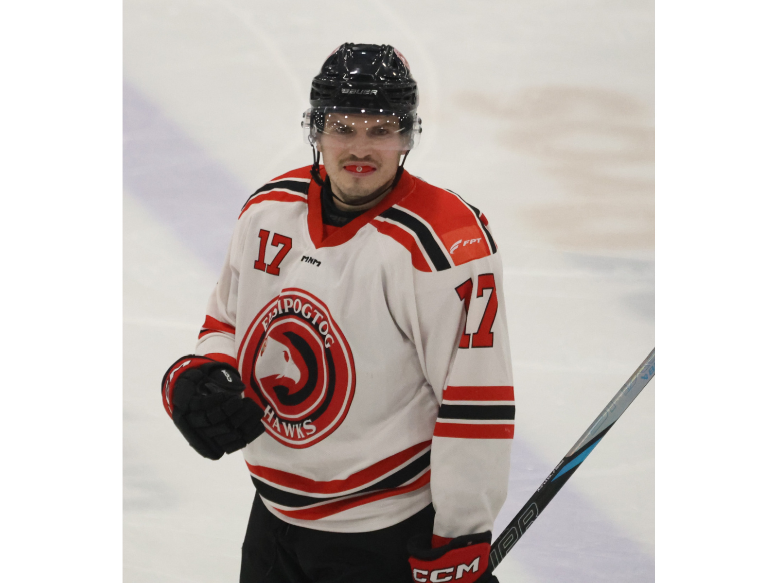 Les Hawks d’Elsipogtog en vacances Image 1