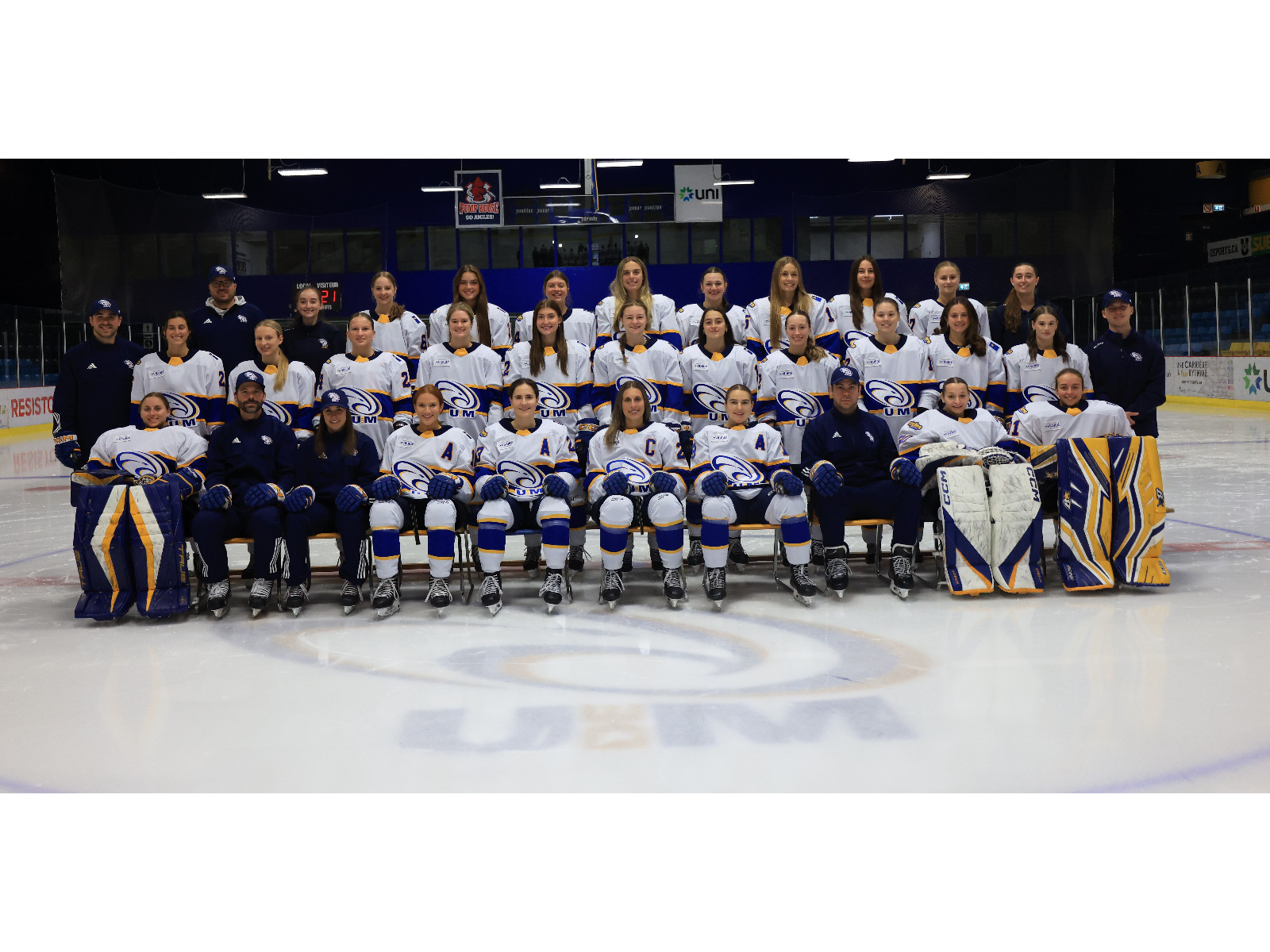 17 athlètes en nominations au Gala des athlètes du campus ... Image 1