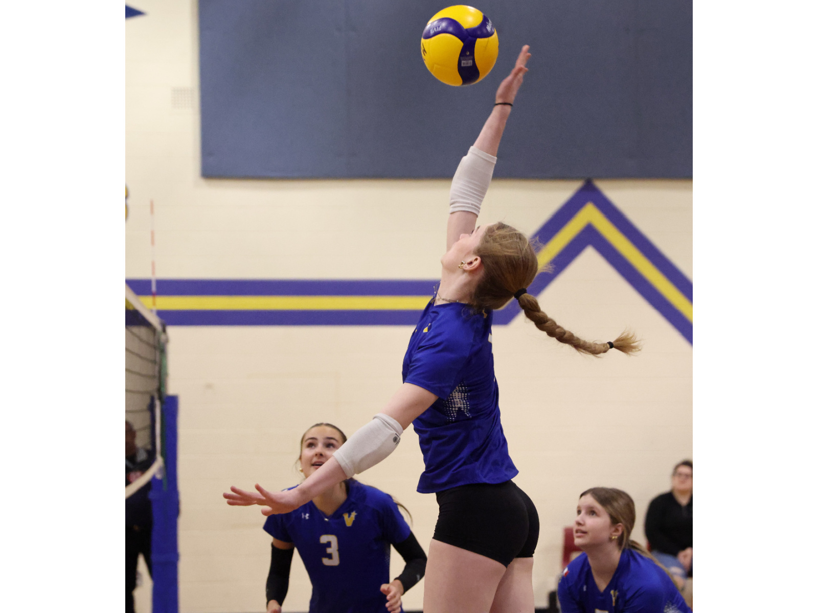 Volleyball gars juniors : deux victoires des Matadors lundi ... Image 1