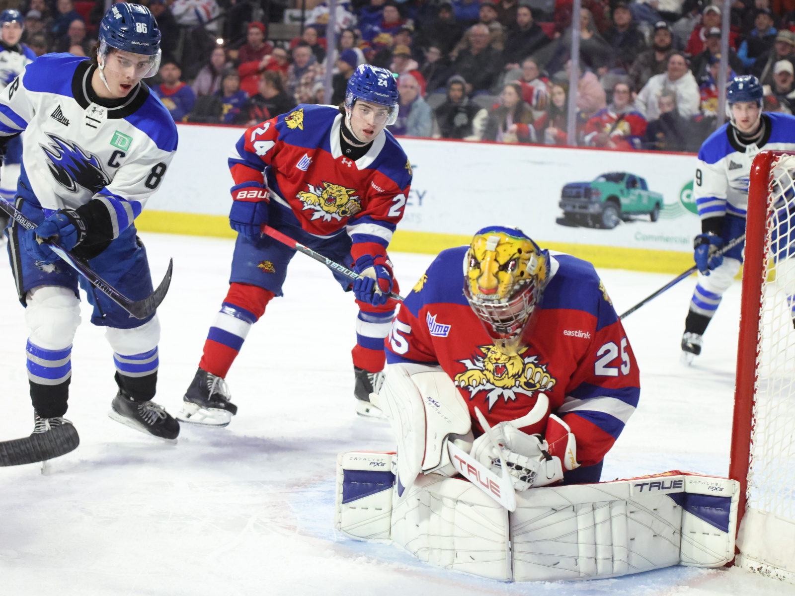 LHJMQ : les Wildcats mènent leur série Image 1