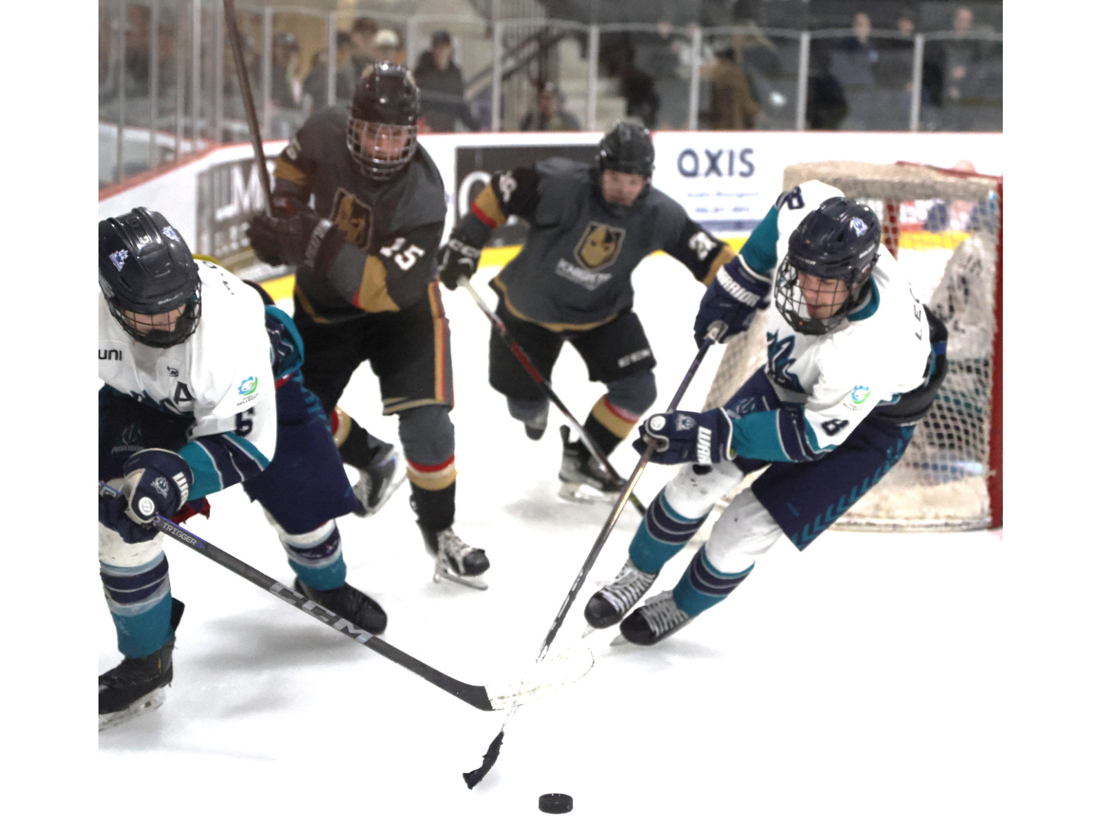 Les Knights à Caraquet jeudi soir Image 1