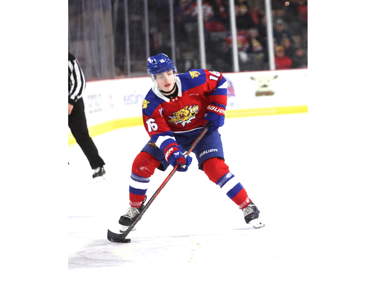 La série Wildcats/Armada débute jeudi soir à Moncton Image 1