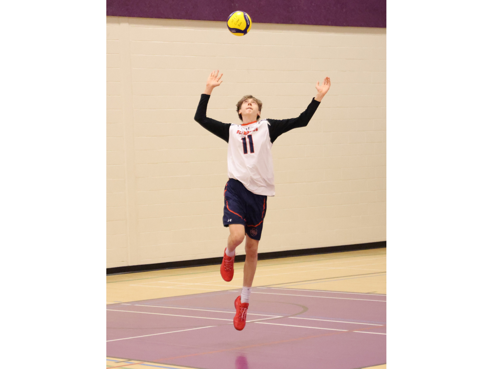 Volleyball : les Olympiens reportent deux gains lundi soir Image 1