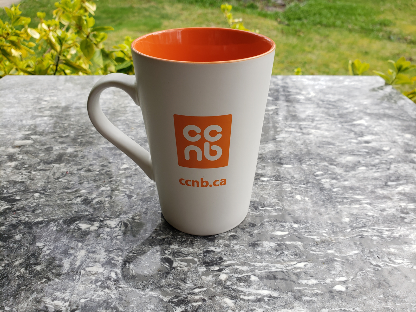 Un campus virtuel au CCNB