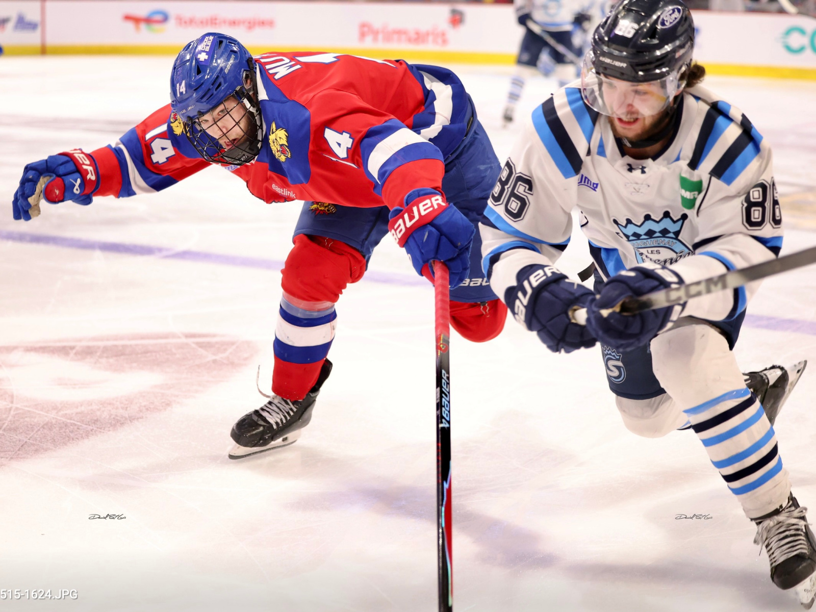 De Charybde en Scylla : les Wildcats s’effondrent dans un ...