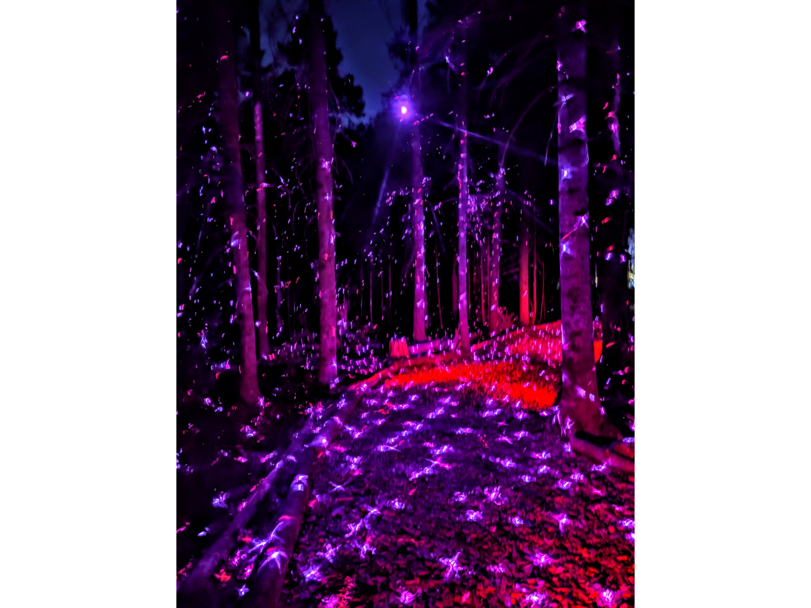 Akadi Lumina amorce sa quatrième saison