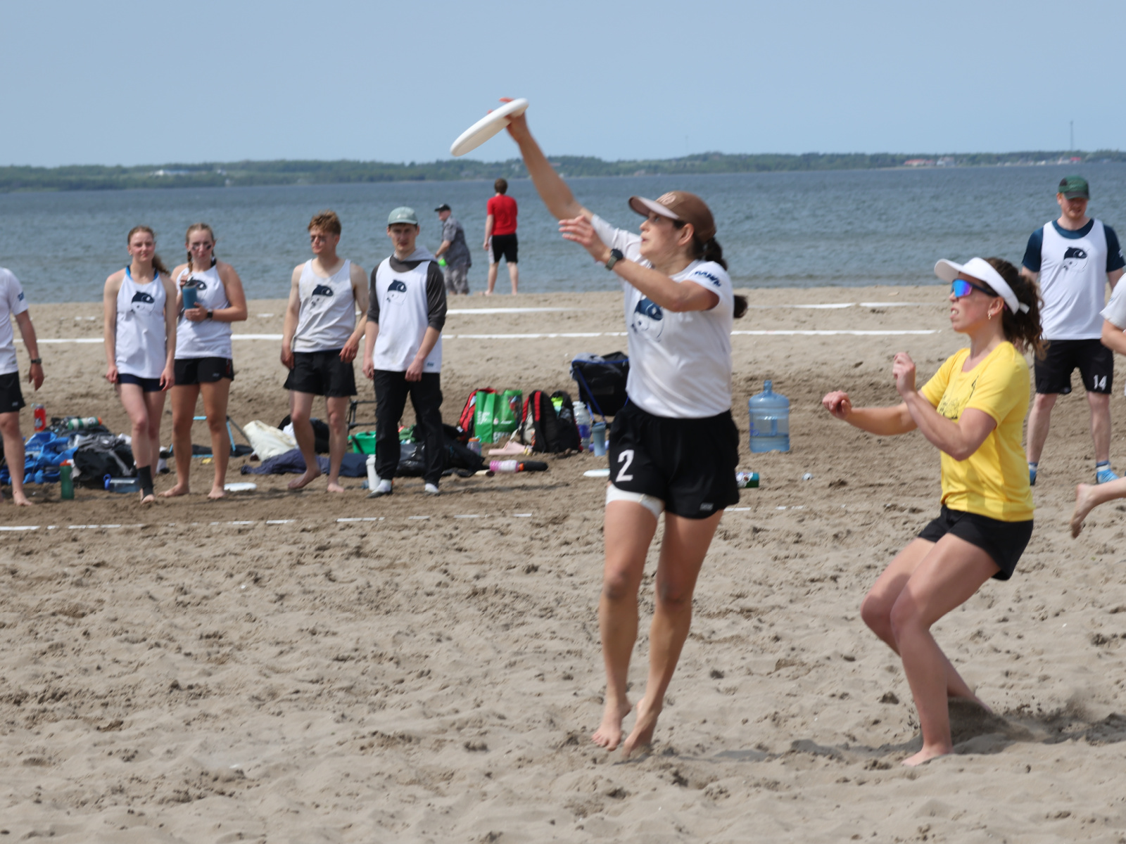 Ultime Frisbee : les Locals couronnés à égalité