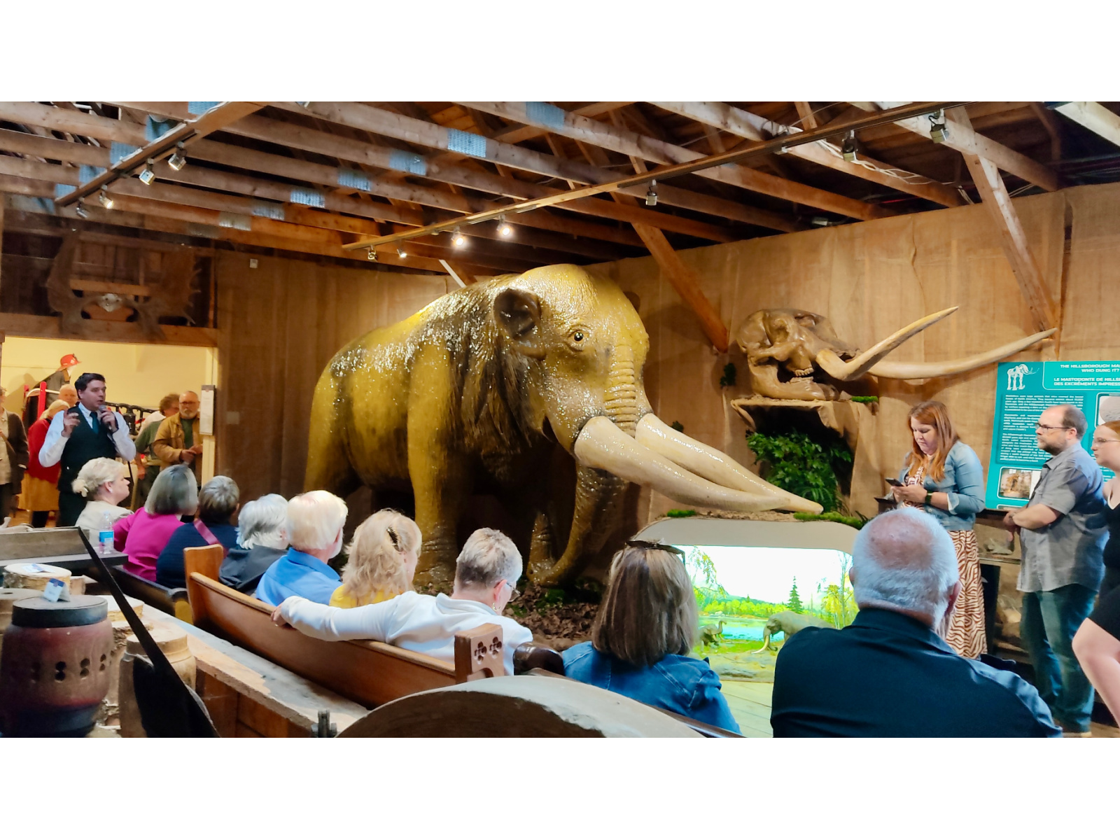 Le mastodonte d’Hillsborough exposé au Musée du comté ...