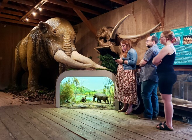 Mastodonte Small