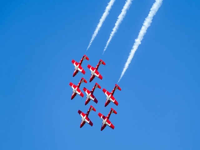 snowbirds Small