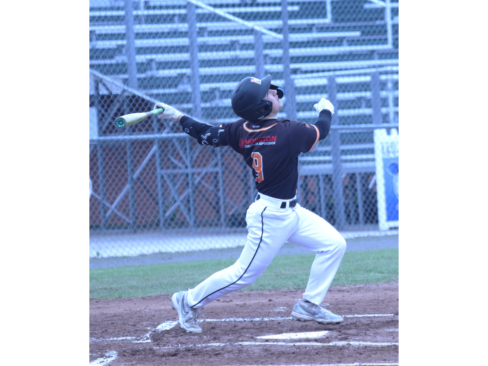 Festival de coups sûrs pour les Mudcats M18 ans Image 1