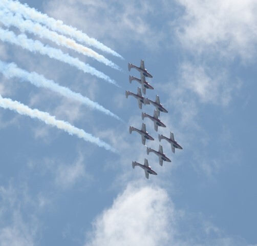 Snowbirds 1 Small