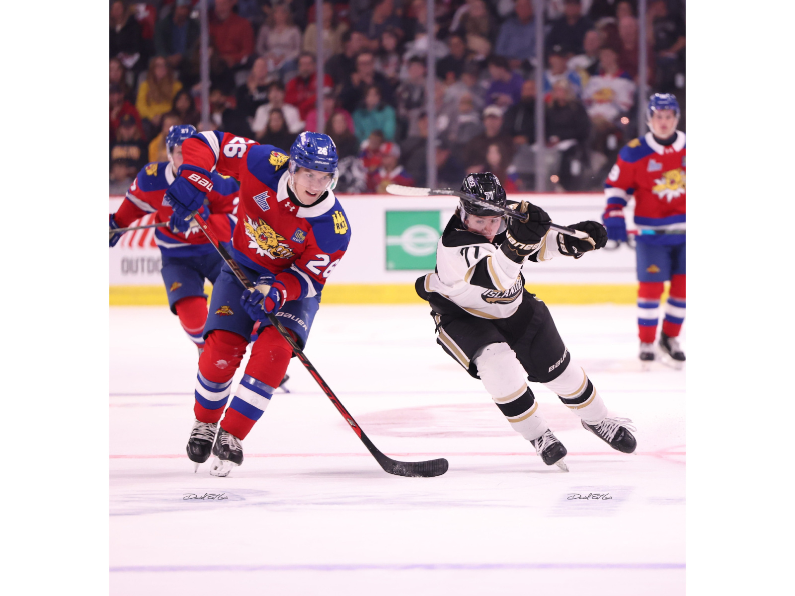 Brosman propulse les Wildcats vers la victoire en ...