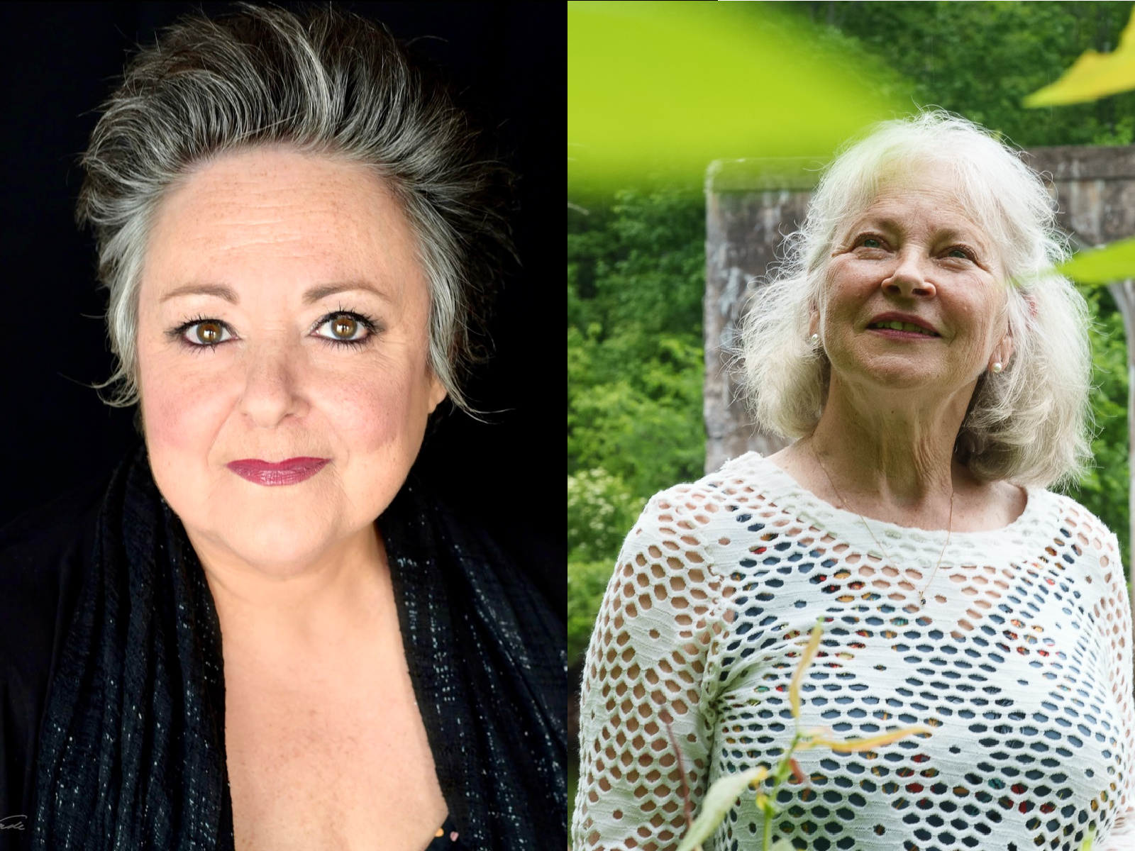 Diane Losier et Dyane Léger honorées par la ...