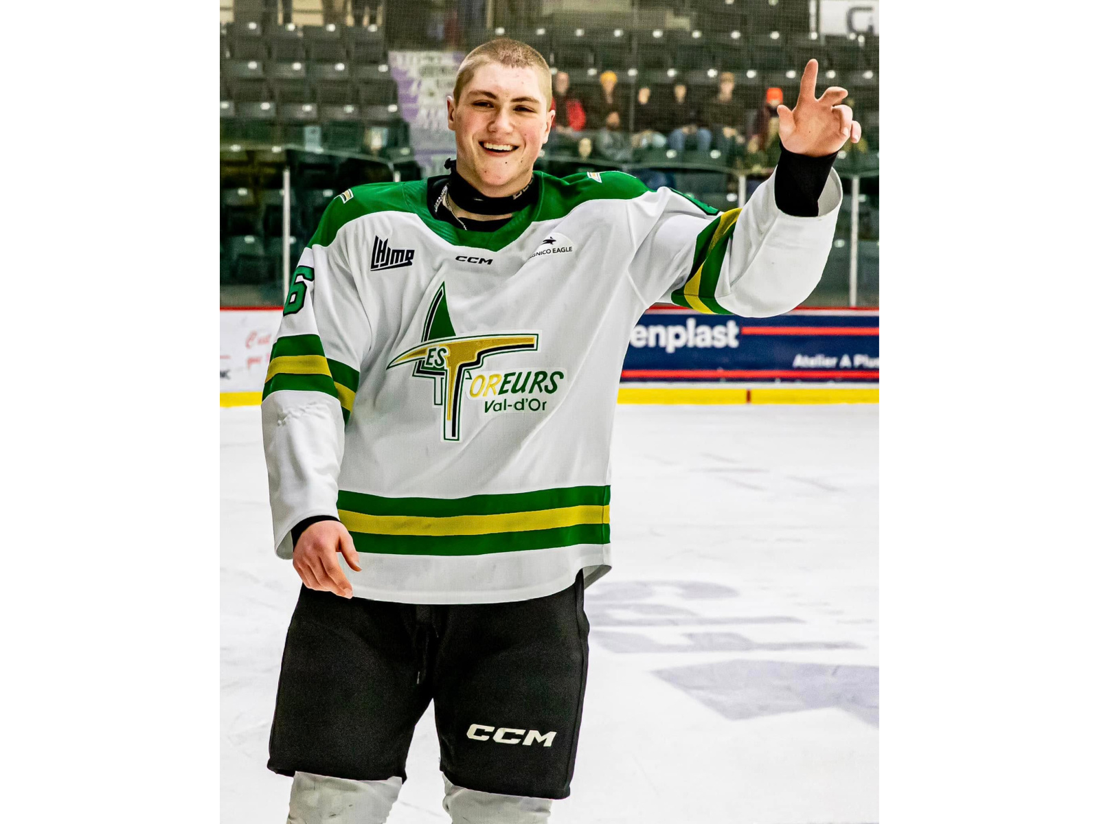 LHJMQ : revers et victoire des Wildcats
