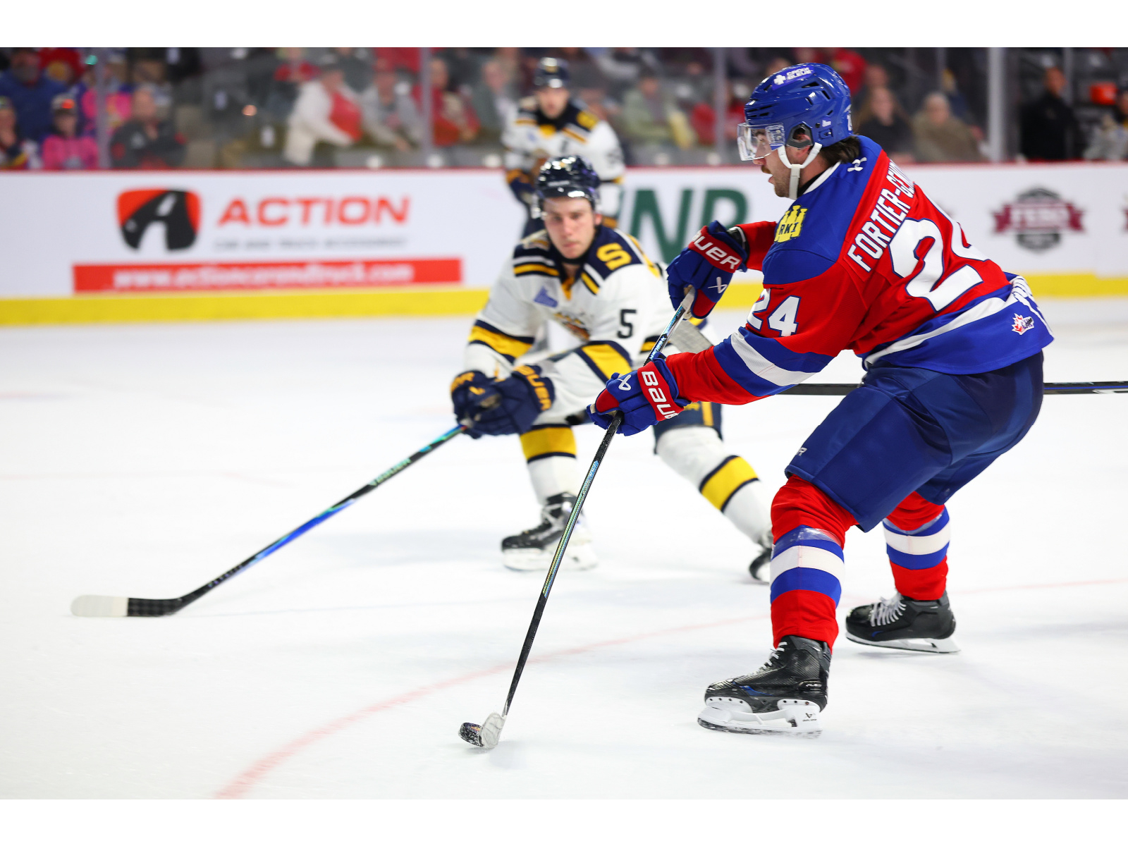 Une victoire et une défaite à domicile pour les Wildcats