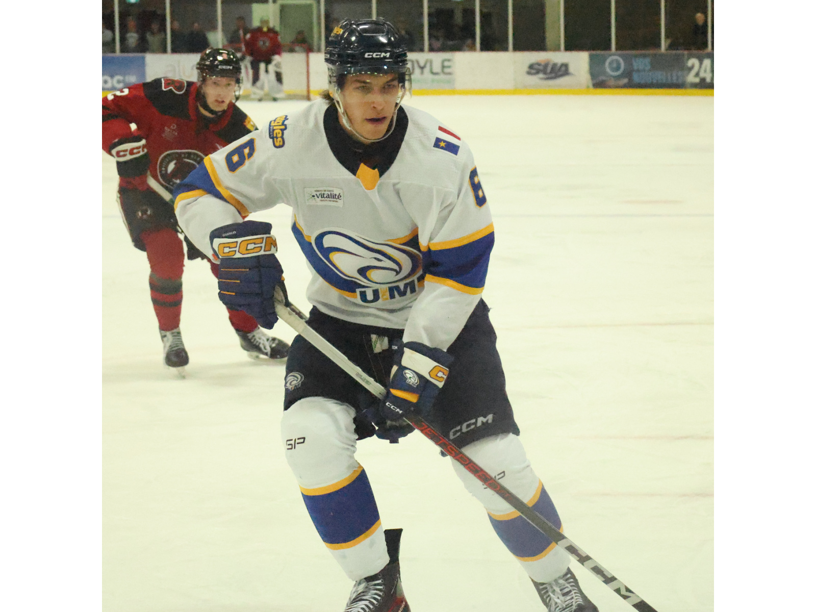 Aigles Bleus : deux revers au hockey masculin, Mariève ...