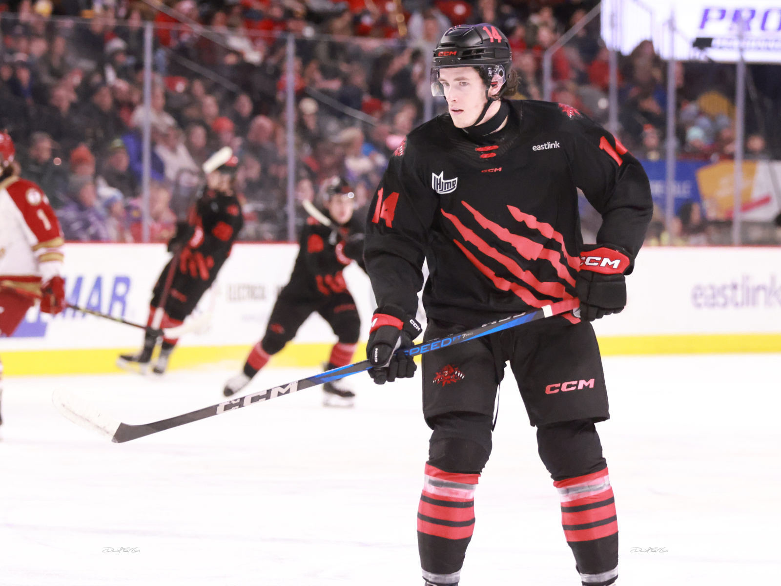 LHJMQ : La série Québec-Moncton débute vendredi Image 1