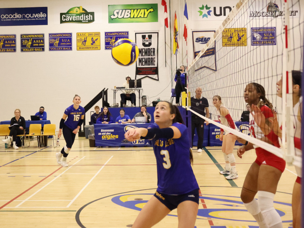 Les Aigles Bleues s’inclinent face aux Axewomen Image 1